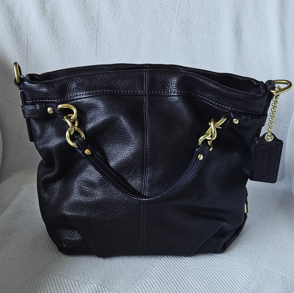 Coach Brooke Hobo Bag 14142M